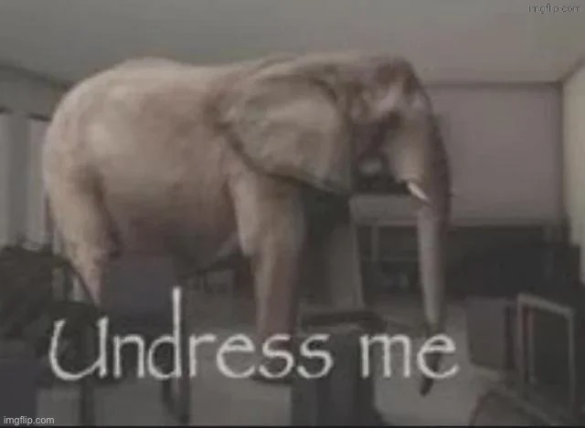 undress me | image tagged in undress me | made w/ Imgflip meme maker