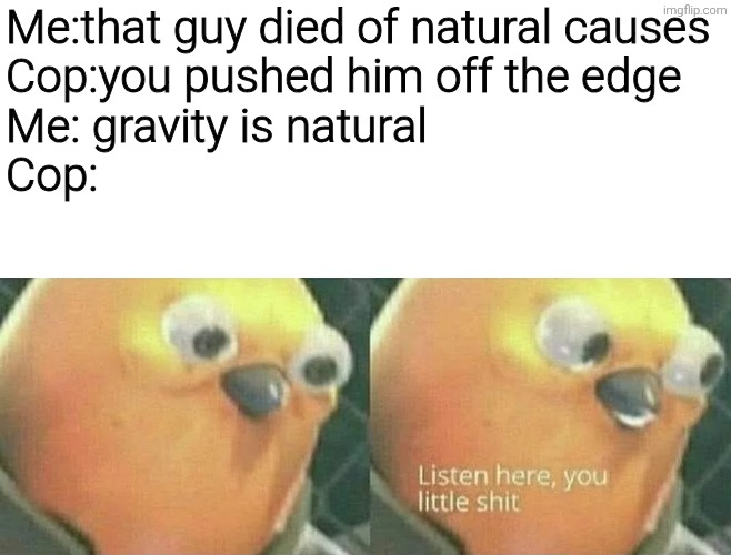 Me:that guy died of natural causes
Cop:you pushed him off the edge
Me: gravity is natural
Cop: | image tagged in memes,funny,meme,funny memes | made w/ Imgflip meme maker