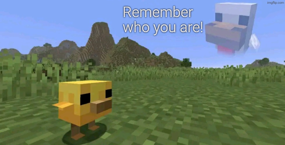 R.I.P. undersized chicken with big head | Remember who you are! | image tagged in meme,memes,funny,funny memes,minecraft,gaming | made w/ Imgflip meme maker