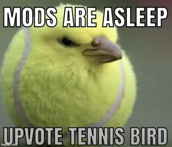 mods are asleep | made w/ Imgflip meme maker