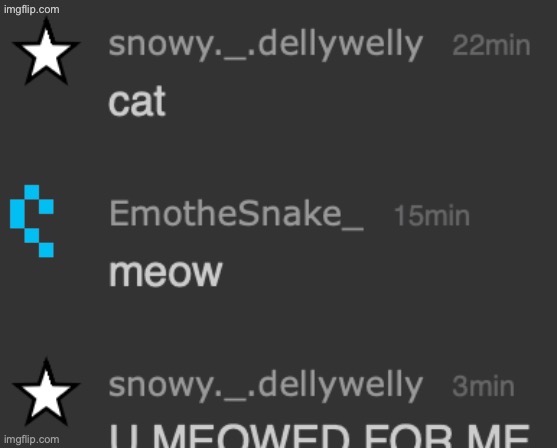 meow | image tagged in meow | made w/ Imgflip meme maker