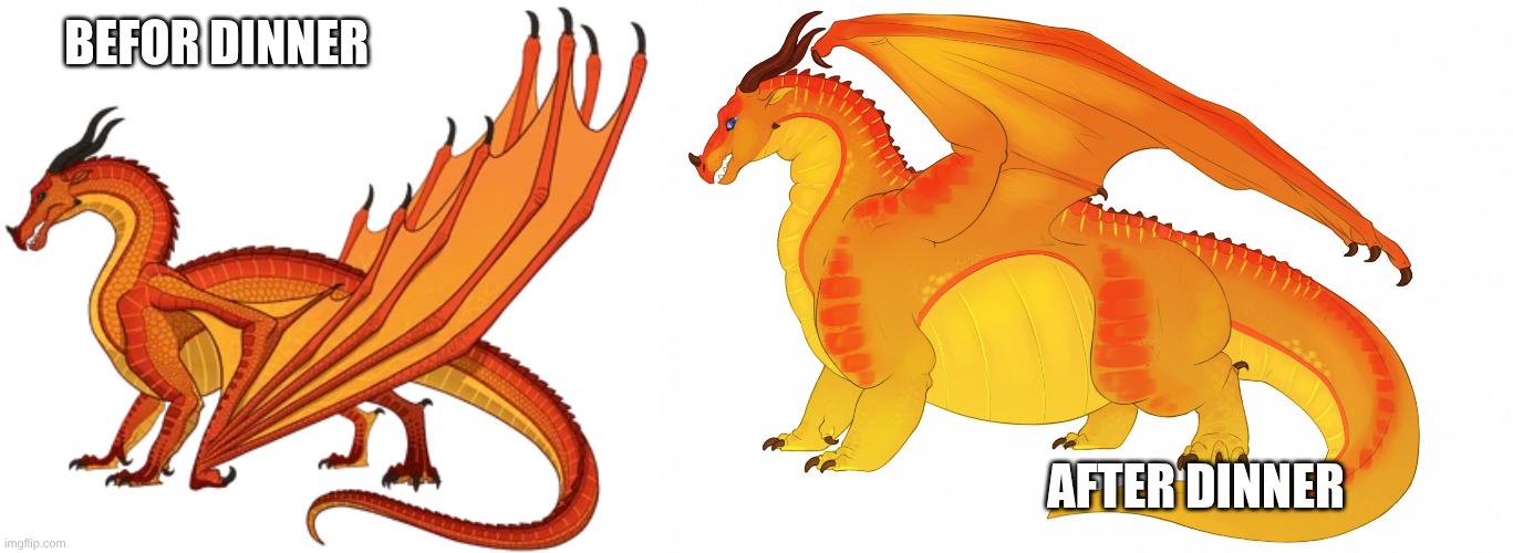 smal and fat, wat is the difrens | BEFOR DINNER; AFTER DINNER | image tagged in fat peril wings of fire | made w/ Imgflip meme maker