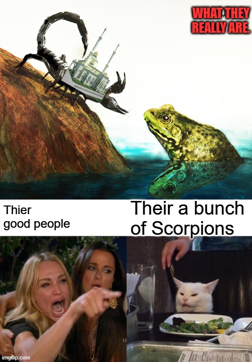 Prove me wrong | WHAT THEY REALLY ARE. Their a bunch of Scorpions; Thier good people | image tagged in memes,woman yelling at cat | made w/ Imgflip meme maker