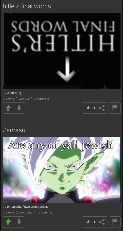 ☠️☠️ | image tagged in hitlers final words | made w/ Imgflip meme maker