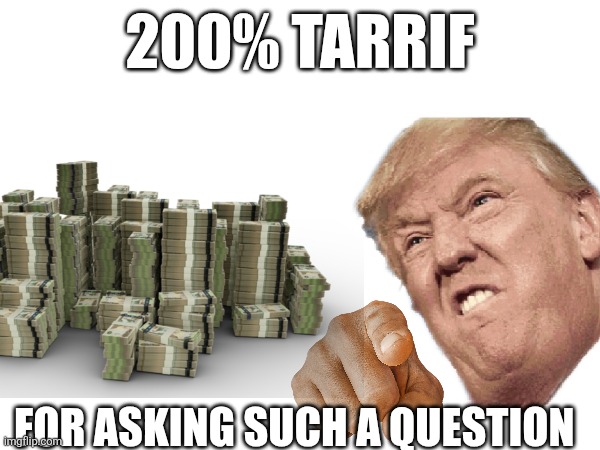 200% TARRIF; FOR ASKING SUCH A QUESTION | made w/ Imgflip meme maker