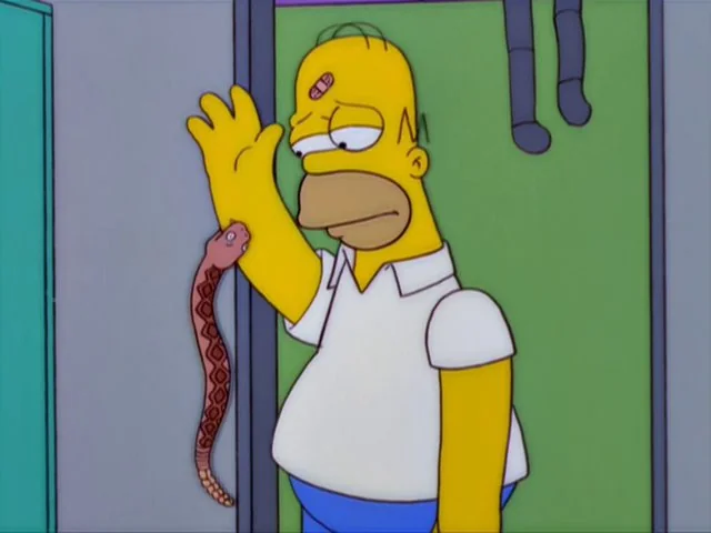 Snakes — nature's quitters Blank Meme Template