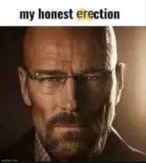 image tagged in my honest erection | made w/ Imgflip meme maker