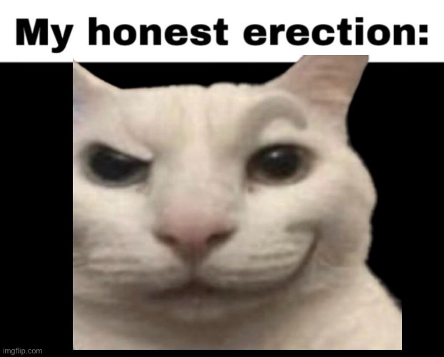 image tagged in my honest erection | made w/ Imgflip meme maker