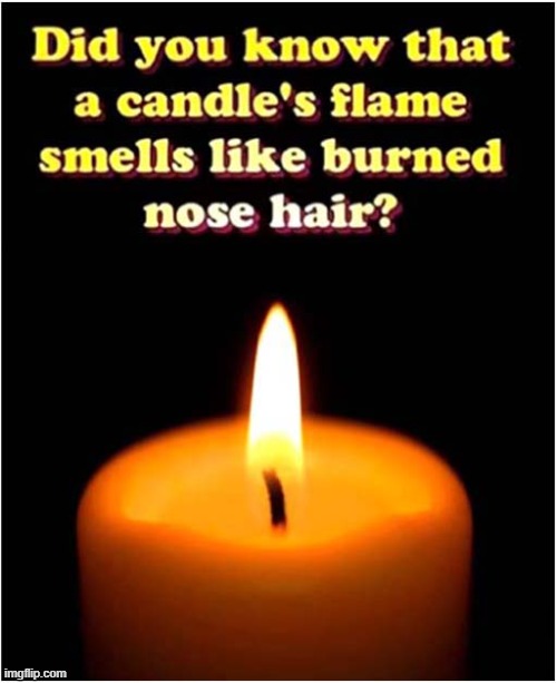 You Must Try This ! | image tagged in candle,flame,smells,burnt | made w/ Imgflip meme maker