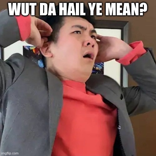 Wut da hail u say | WUT DA HAIL YE MEAN? | image tagged in wut da hail u say | made w/ Imgflip meme maker