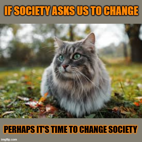 This #lolcat wonders why hoo-mens feel the need to change | IF SOCIETY ASKS US TO CHANGE; PERHAPS IT'S TIME TO CHANGE SOCIETY | image tagged in change,lolcat,society | made w/ Imgflip meme maker