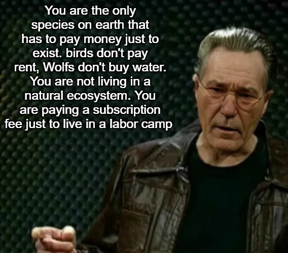 more-whatever | You are the only species on earth that has to pay money just to exist. birds don't pay rent, Wolfs don't buy water. You are not living in a natural ecosystem. You are paying a subscription fee just to live in a labor camp | image tagged in more-whatever | made w/ Imgflip meme maker