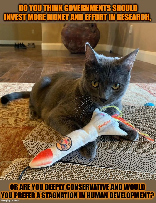 This #lolcat wonders why many hoo-mens want a stagnation in human development | DO YOU THINK GOVERNMENTS SHOULD INVEST MORE MONEY AND EFFORT IN RESEARCH, OR ARE YOU DEEPLY CONSERVATIVE AND WOULD YOU PREFER A STAGNATION IN HUMAN DEVELOPMENT? | image tagged in development,conservatives,lolcat,research,science | made w/ Imgflip meme maker