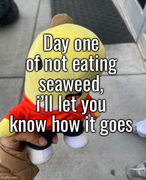 ts coil btw, i started S4 of stranger things | Day one of not eating seaweed, i’ll let you know how it goes | made w/ Imgflip meme maker