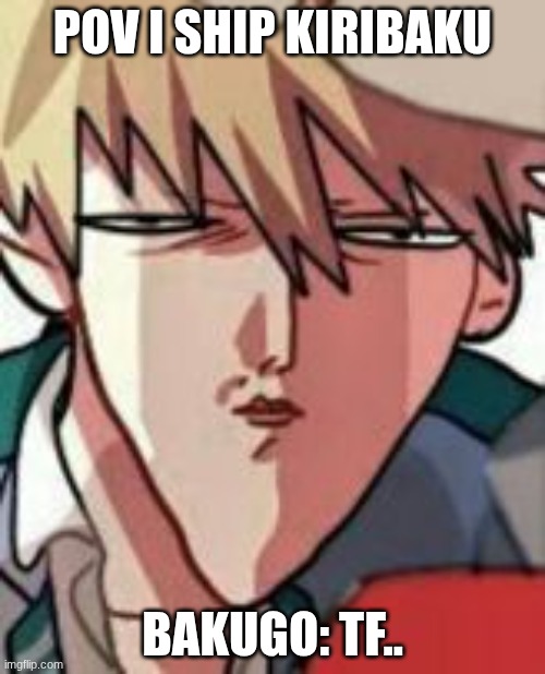 Bakugo WTF | POV I SHIP KIRIBAKU; BAKUGO: TF.. | image tagged in bakugo wtf,lol so funny | made w/ Imgflip meme maker