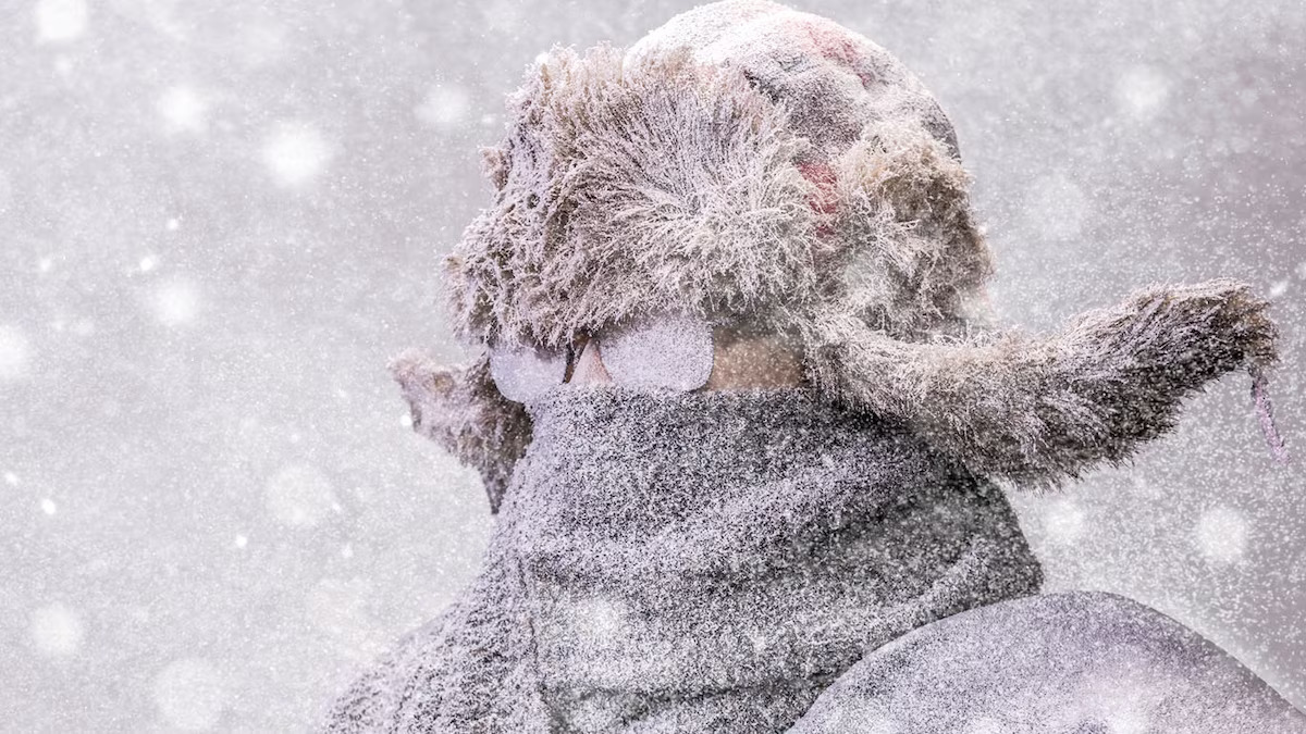 Cold Blank Meme Template