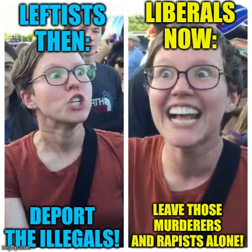 Oh, the hypocrisy. | LIBERALS NOW:; LEFTISTS THEN:; LEAVE THOSE MURDERERS AND RAPISTS ALONE! DEPORT THE ILLEGALS! | image tagged in social justice warrior hypocrisy | made w/ Imgflip meme maker
