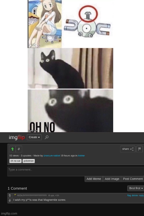 Excuse me what? | image tagged in cursed comments | made w/ Imgflip meme maker