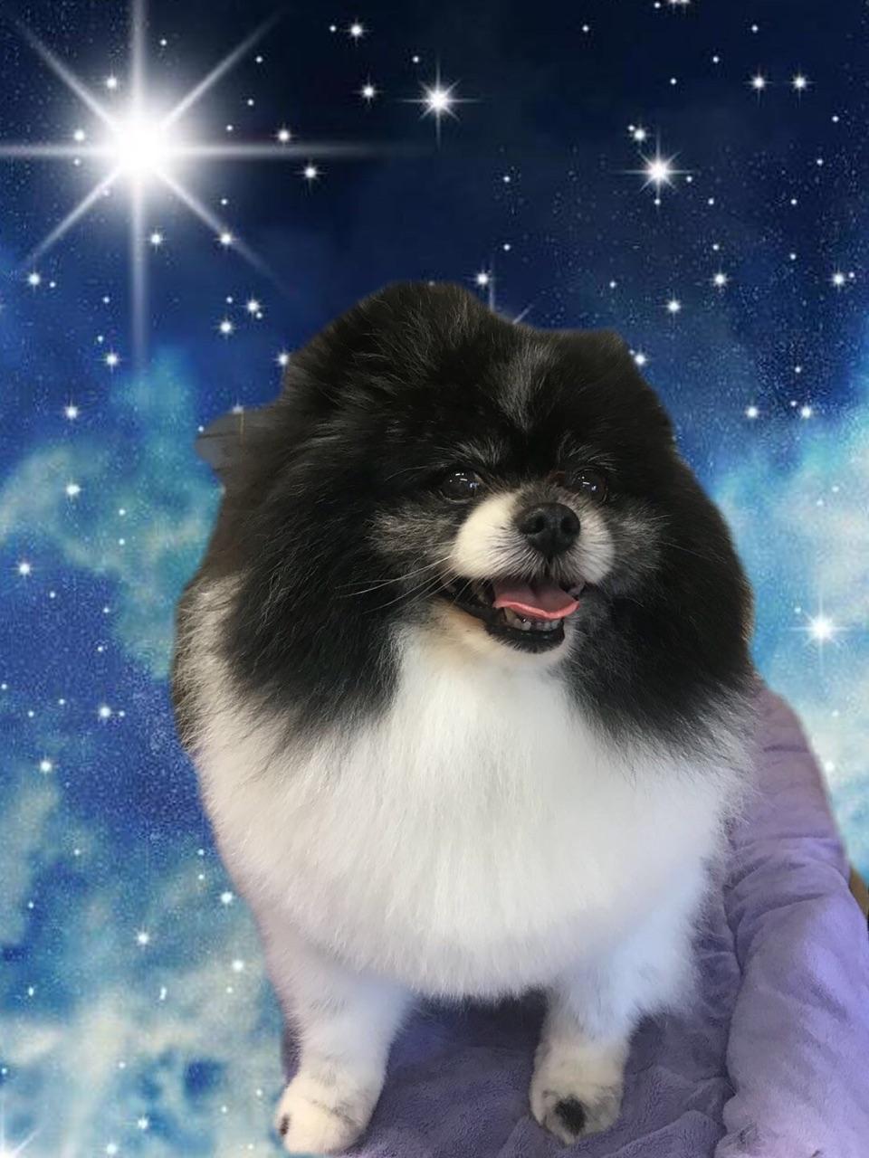 High Quality Aiko Blank Meme Template