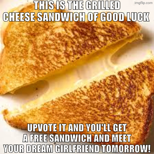 idfk this acc needs a few points and i ain't wasting good memes on a gimmick alt | THIS IS THE GRILLED CHEESE SANDWICH OF GOOD LUCK; UPVOTE IT AND YOU'LL GET A FREE SANDWICH AND MEET YOUR DREAM GIRLFRIEND TOMORROW! | image tagged in memes,grilled cheese,upvote begging | made w/ Imgflip meme maker