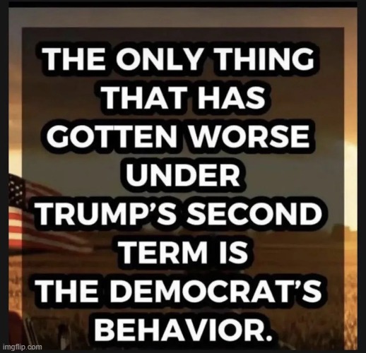 Plain & Simple Truth | image tagged in djt,donald trump,accomplishment,democrats,bad behavior | made w/ Imgflip meme maker