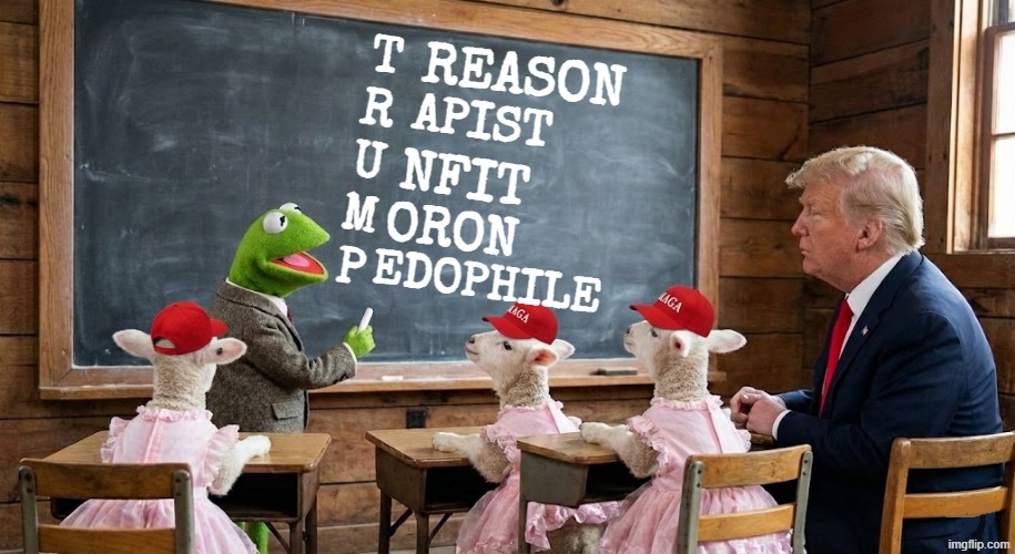 KERMIT LEARNS TRUMP GOOD | REASON; T
R
U
M
P; APIST; NFIT; ORON; EDOPHILE | image tagged in trump,treason,rapist,unfit,moron,pedophile | made w/ Imgflip meme maker