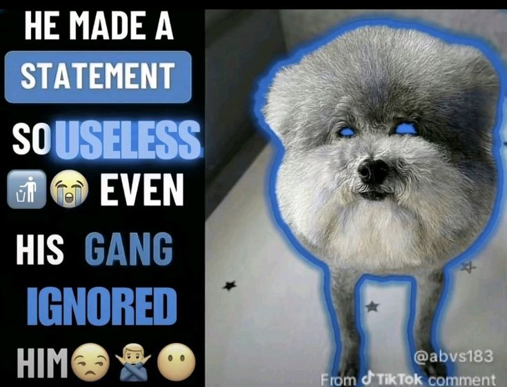 useless statement dog Blank Meme Template