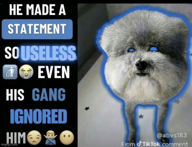 useless statement dog | image tagged in useless statement dog | made w/ Imgflip meme maker