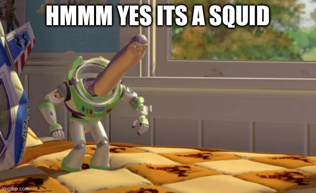 Hmm yes blank | HMMM YES ITS A SQUID | image tagged in hmm yes blank | made w/ Imgflip meme maker