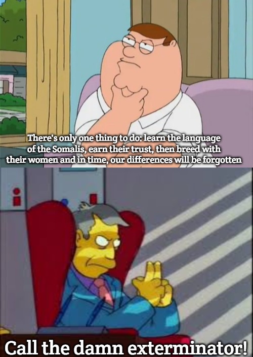 There's only one thing to do: learn the language of the Somalis, earn their trust, then breed with their women and in time, our differences will be forgotten; Call the damn exterminator! | image tagged in peter griffin thinking,skinner plot | made w/ Imgflip meme maker