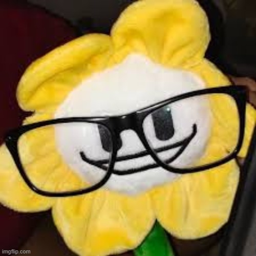 face reveal [no, really, i actually have glasses] | made w/ Imgflip meme maker