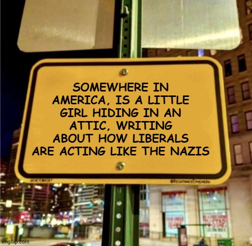 Attic | SOMEWHERE IN AMERICA, IS A LITTLE GIRL HIDING IN AN ATTIC, WRITING ABOUT HOW LIBERALS ARE ACTING LIKE THE NAZIS | image tagged in anne frank,nazis,liberals,attic | made w/ Imgflip meme maker