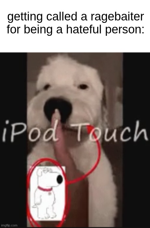 getting called a ragebaiter for being a hateful person: | made w/ Imgflip meme maker