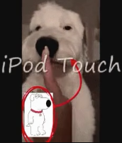 ipod touch Blank Meme Template