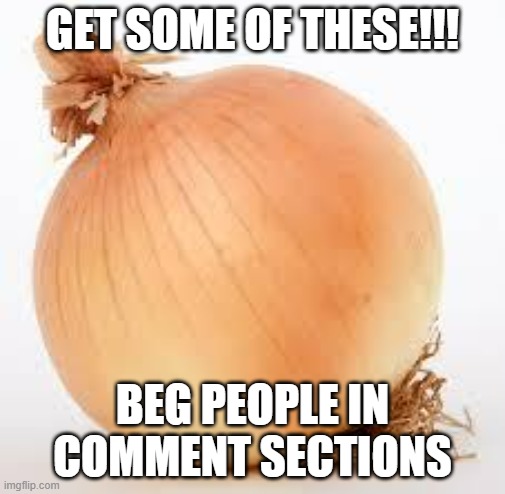 It begins... | GET SOME OF THESE!!! BEG PEOPLE IN COMMENT SECTIONS | image tagged in onion,patrol,memes,get the onions | made w/ Imgflip meme maker