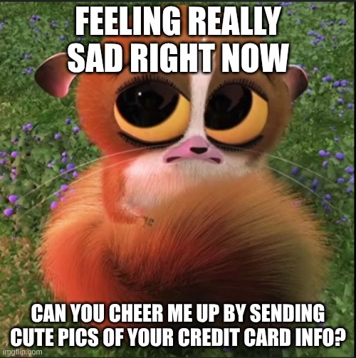 Hi | FEELING REALLY SAD RIGHT NOW; CAN YOU CHEER ME UP BY SENDING CUTE PICS OF YOUR CREDIT CARD INFO? | image tagged in funny | made w/ Imgflip meme maker