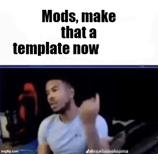 Mods, make that a template now please | image tagged in mods make that a template now please | made w/ Imgflip meme maker