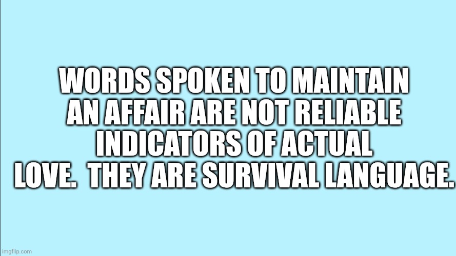 Wisdom | WORDS SPOKEN TO MAINTAIN AN AFFAIR ARE NOT RELIABLE INDICATORS OF ACTUAL LOVE.  THEY ARE SURVIVAL LANGUAGE. | image tagged in blank background | made w/ Imgflip meme maker
