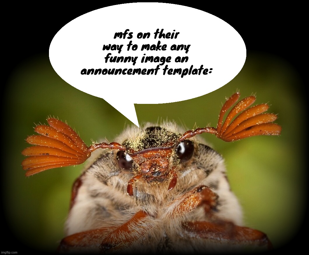 Doodlebug/odd announcement temp | mfs on their way to make any funny image an announcement template: | image tagged in doodlebug/odd announcement temp | made w/ Imgflip meme maker