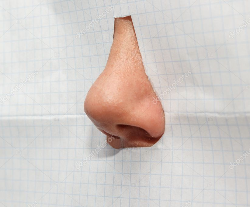 Nose Blank Meme Template