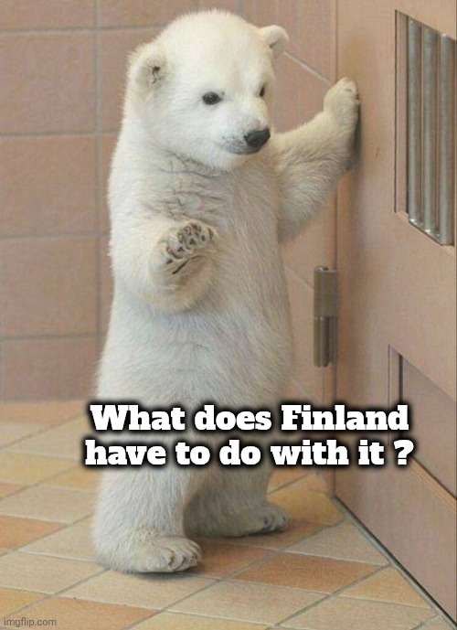 Not now Bear | What does Finland have to do with it ? | image tagged in not now bear | made w/ Imgflip meme maker
