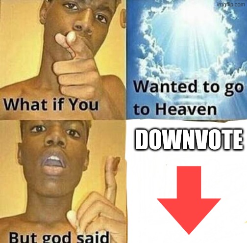 what if | DOWNVOTE | image tagged in what if you wanted to go to heaven | made w/ Imgflip meme maker
