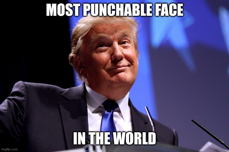 Donald Trump No2 | MOST PUNCHABLE FACE; IN THE WORLD | image tagged in donald trump no2 | made w/ Imgflip meme maker