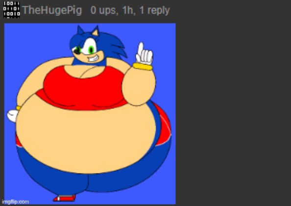 thp sonic fat | image tagged in thp sonic fat | made w/ Imgflip meme maker
