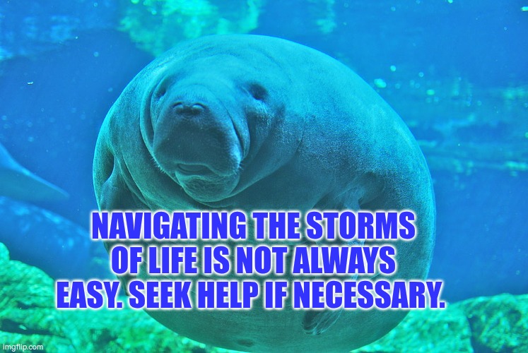Navigating the storms of life is not always easy. Seek help if necessary. | NAVIGATING THE STORMS OF LIFE IS NOT ALWAYS EASY. SEEK HELP IF NECESSARY. | image tagged in calming manatee,autism,life,help,support,cope | made w/ Imgflip meme maker