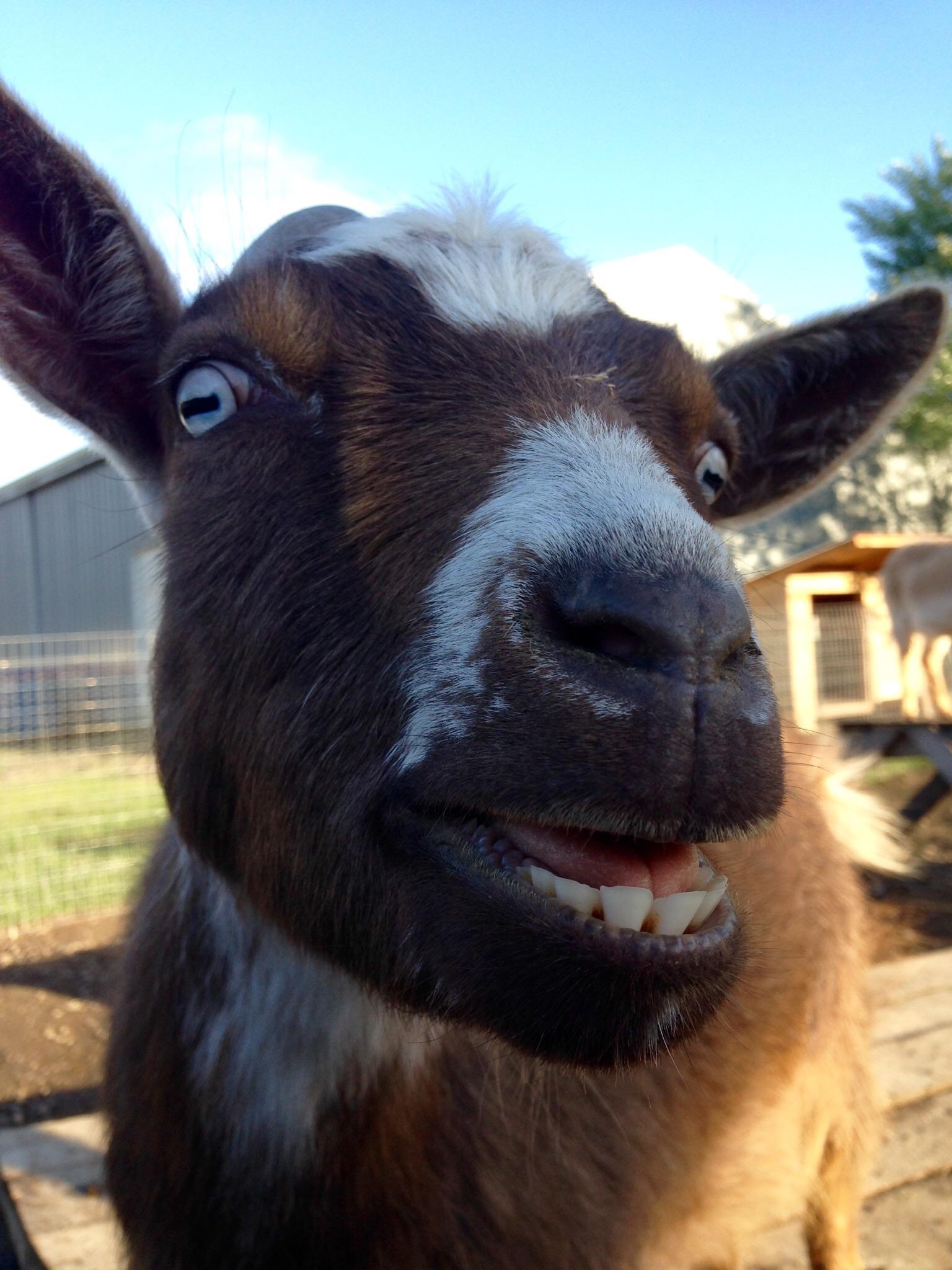 Chrisjoines1 Blank Meme Template