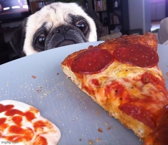 Was looking through random memes, found this | made w/ Imgflip meme maker