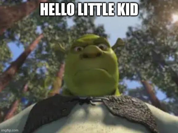 Hi little bro | HELLO LITTLE KID | image tagged in memes,funny | made w/ Imgflip meme maker