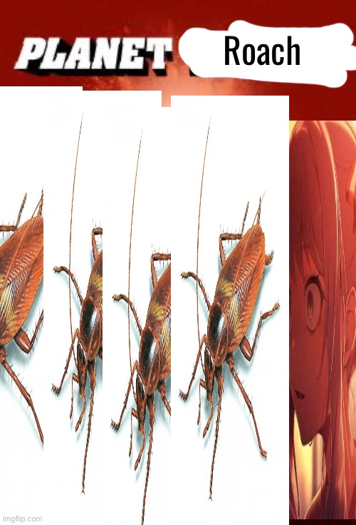 Planet Terror | Roach | image tagged in planet terror,cockroach | made w/ Imgflip meme maker