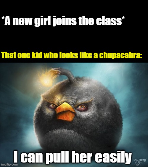 Confidence vs Reality | *A new girl joins the class*; That one kid who looks like a chupacabra:; I can pull her easily | image tagged in angry birds bomb | made w/ Imgflip meme maker